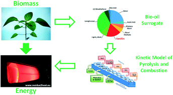Graphical abstract: Detailed kinetics of substituted phenolic species in pyrolysis bio-oils