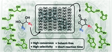 Graphical abstract: Solvent-free organocatalytic preparation of cyclic organic carbonates under scalable continuous flow conditions
