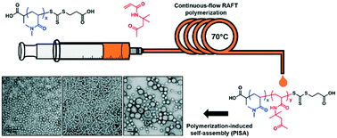 Graphical abstract: All-aqueous continuous-flow RAFT dispersion polymerisation for efficient preparation of diblock copolymer spheres, worms and vesicles