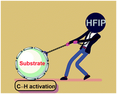 Graphical abstract: Role of hexafluoroisopropanol in C–H activation