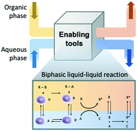 Graphical abstract: Enabling tools for continuous-flow biphasic liquid–liquid reaction