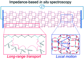 Graphical abstract: Tracking mobile active sites and intermediates in NH3-SCR over zeolite catalysts by impedance-based in situ spectroscopy