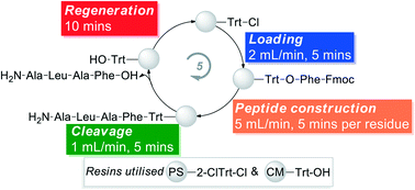 Graphical abstract: A continuous flow protocol to generate, regenerate, load, and recycle chlorotrityl functionalised resins