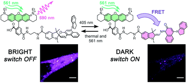 Graphical abstract: Spironaphthoxazine switchable dyes for biological imaging