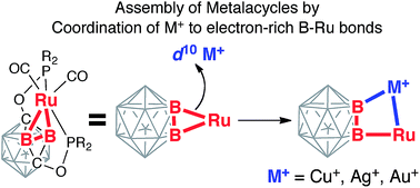 Graphical abstract: Expansion of the (BB) [[double bond splayed left]] Ru metallacycle with coinage metal cations: formation of B–M–Ru–B (M = Cu, Ag, Au) dimetalacyclodiboryls
