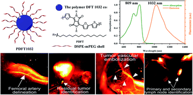 Graphical abstract: Diketopyrrolopyrrole-based semiconducting polymer nanoparticles for in vivo second near-infrared window imaging and image-guided tumor surgery
