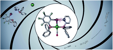 Graphical abstract: XBphos-Rh: a halogen-bond assembled supramolecular catalyst