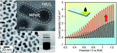 Graphical abstract: Phase-segregated NiPx@FePyOz core@shell nanoparticles: ready-to-use nanocatalysts for electro- and photo-catalytic water oxidation through in situ activation by structural transformation and spontaneous ligand removal