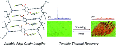 Graphical abstract: Reversible mechanofluorochromism of aniline-terminated phenylene ethynylenes