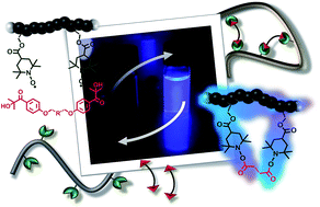 Graphical abstract: Self-reporting and refoldable profluorescent single-chain nanoparticles