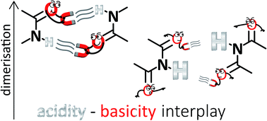 Graphical abstract: Acidity and basicity interplay in amide and imide self-association