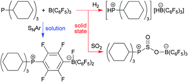 Graphical abstract: Solid state frustrated Lewis pair chemistry