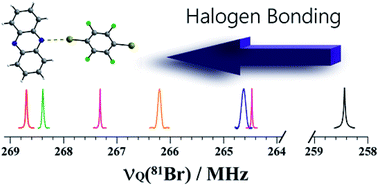 Graphical abstract: 79/81Br nuclear quadrupole resonance spectroscopic characterization of halogen bonds in supramolecular assemblies