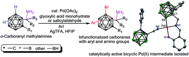 Graphical abstract: Pd(ii)-catalyzed synthesis of bifunctionalized carboranes via cage B–H activation of 1-CH2NH2-o-carboranes