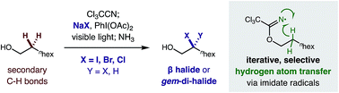 Graphical abstract: β C–H di-halogenation via iterative hydrogen atom transfer