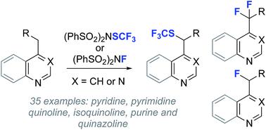 Graphical abstract: Direct heterobenzylic fluorination, difluorination and trifluoromethylthiolation with dibenzenesulfonamide derivatives