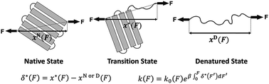 Graphical abstract: Structural–elastic determination of the force-dependent transition rate of biomolecules