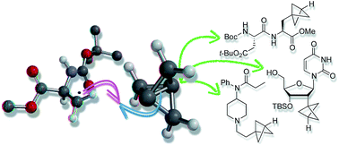 Graphical abstract: Synthesis and applications of highly functionalized 1-halo-3-substituted bicyclo[1.1.1]pentanes