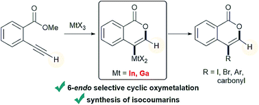 Graphical abstract: Selective oxymetalation of terminal alkynes via 6-endo cyclization: mechanistic investigation and application to the efficient synthesis of 4-substituted isocoumarins