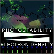 Graphical abstract: A new structure–activity relationship for cyanine dyes to improve photostability and fluorescence properties for live cell imaging