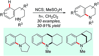 Graphical abstract: Radical-mediated direct Câ€“H amination of arenes with secondary amines
