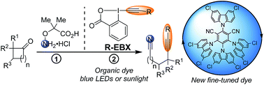 Graphical abstract: Fine-tuned organic photoredox catalysts for fragmentation-alkynylation cascades of cyclic oxime ethers