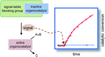 Graphical abstract: Selective activation of organocatalysts by specific signals