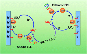 Graphical abstract: Synergistically mediated enhancement of cathodic and anodic electrochemiluminescence of graphene quantum dots through chemical and electrochemical reactions of coreactants