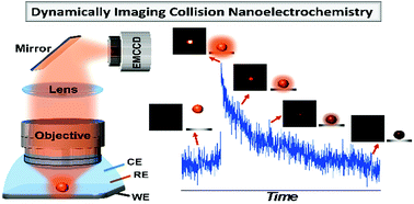 Dynamically imaging collision electrochemistry of single electrochemiluminescence nano-emitters; 10.1039/C8SC02251H; Cheng Ma, Wanwan Wu, Lingling Li, Shaojun Wu, Jianrong Zhang, Zixuan Chen and Jun-Jie Zhu