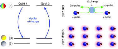 Graphical abstract: Dipolar exchange quantum logic gate with polar molecules