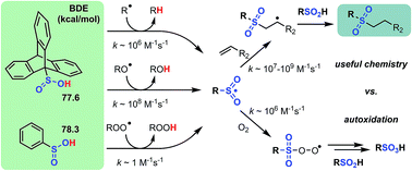 Graphical abstract: The hydrogen atom transfer reactivity of sulfinic acids