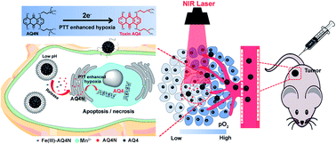 Graphical abstract: pH/hypoxia programmable triggered cancer photo-chemotherapy based on a semiconducting polymer dot hybridized mesoporous silica framework