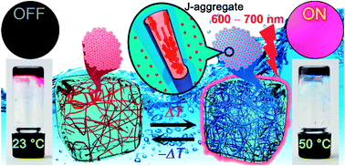 Graphical abstract: Hydrogen-bonded perylene bisimide J-aggregate aqua material