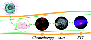 Graphical abstract: A redox-activated theranostic nanoagent: toward multi-mode imaging guided chemo-photothermal therapy