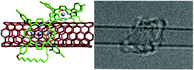 Graphical abstract: Interfacing porphyrins and carbon nanotubes through mechanical links