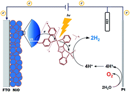 Graphical abstract: Photoelectrocatalytic H2 evolution from integrated photocatalysts adsorbed on NiO
