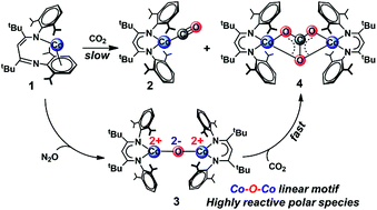 Graphical abstract: Reduction of CO2 by a masked two-coordinate cobalt(i) complex and characterization of a proposed oxodicobalt(ii) intermediate