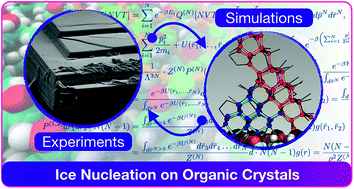 Graphical abstract: Unravelling the origins of ice nucleation on organic crystals