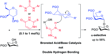 Graphical abstract: Stereoselective organocatalyzed glycosylations – thiouracil, thioureas and monothiophthalimide act as Brønsted acid catalysts at low loadings