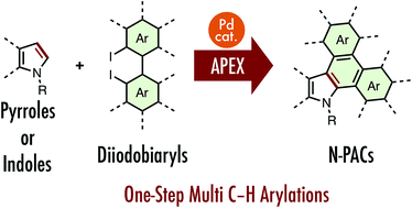 Graphical abstract: Annulative π-extension of indoles and pyrroles with diiodobiaryls by Pd catalysis: rapid synthesis of nitrogen-containing polycyclic aromatic compounds
