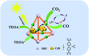 Graphical abstract: Highly effective photoreduction of CO2 to CO promoted by integration of CdS with molecular redox catalysts through metal–organic frameworks