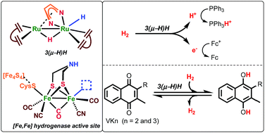 Graphical abstract: A low-valent dinuclear ruthenium diazadiene complex catalyzes the oxidation of dihydrogen and reversible hydrogenation of quinones