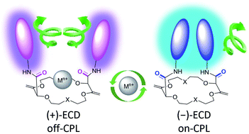 Graphical abstract: Combined reversible switching of ECD and quenching of CPL with chiral fluorescent macrocycles