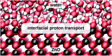 Graphical abstract: One-dimensional vs. two-dimensional proton transport processes at solid–liquid zinc-oxide–water interfaces
