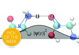 Graphical abstract: Protonated glycine supramolecular systems: the need for quantum dynamics