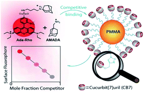 Graphical abstract: Precise supramolecular control of surface coverage densities on polymer micro- and nanoparticles