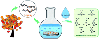 Graphical abstract: Gold-catalyzed conversion of lignin to low molecular weight aromatics