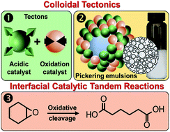 Graphical abstract: Colloidal tectonics for tandem synergistic Pickering interfacial catalysis: oxidative cleavage of cyclohexene oxide into adipic acid
