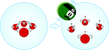 Graphical abstract: Do water's electrons care about electrolytes?