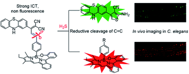 Graphical abstract: Reductive cleavage of C [[double bond, length as m-dash]] C bonds as a new strategy for turn-on dual fluorescence in effective sensing of H2S